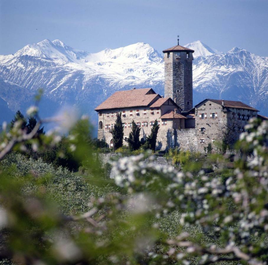 Cinzia Dolomiti Del Brenta Διαμέρισμα Tassullo Εξωτερικό φωτογραφία